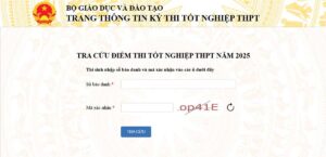 Tra cuu diem thi THPT